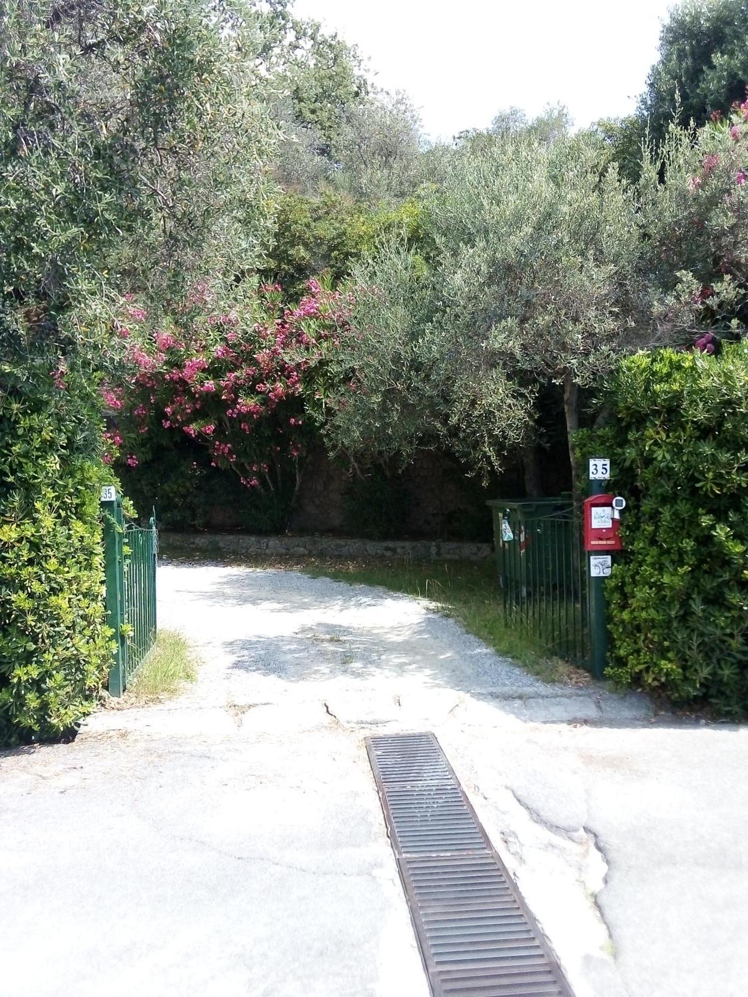 La Camera Tra Gli Ulivi Dream Finale Finale Ligure Exterior foto