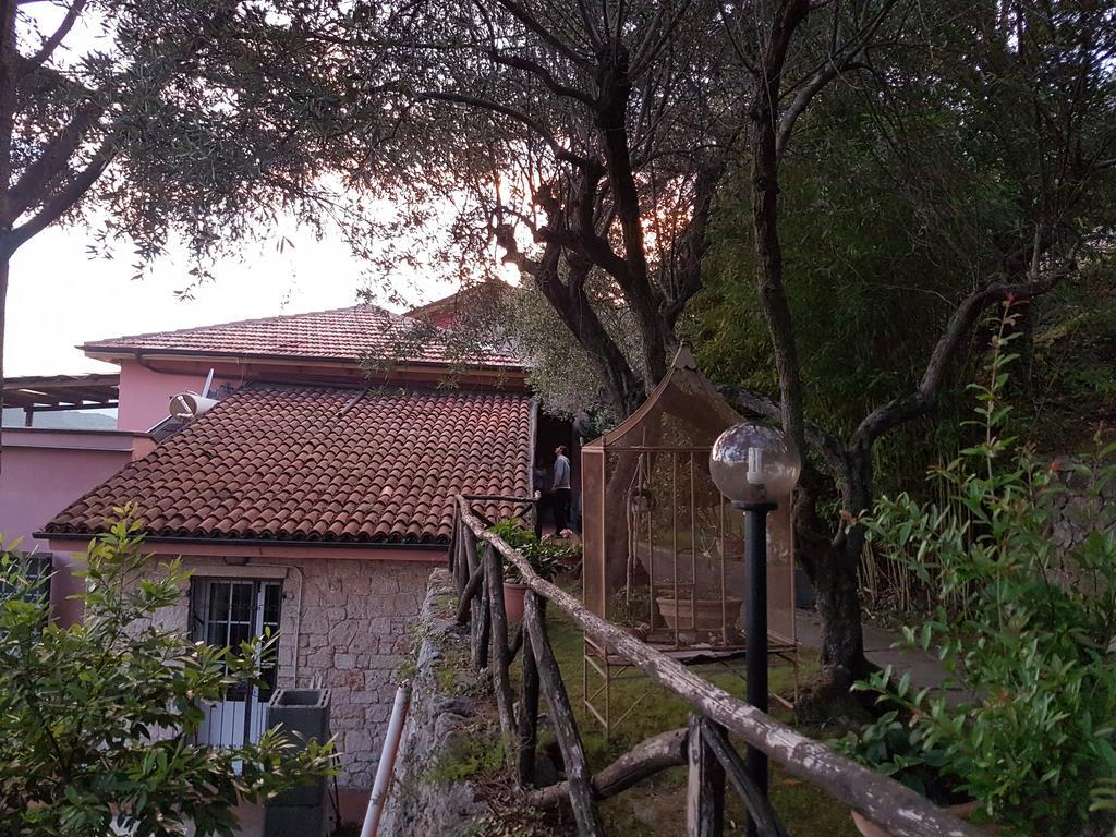 La Camera Tra Gli Ulivi Dream Finale Finale Ligure Exterior foto